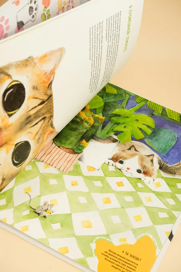 Книга Невероятные коты. Всё, что нужно знать о любимых питомцах (Кароль Бурсе) — 13