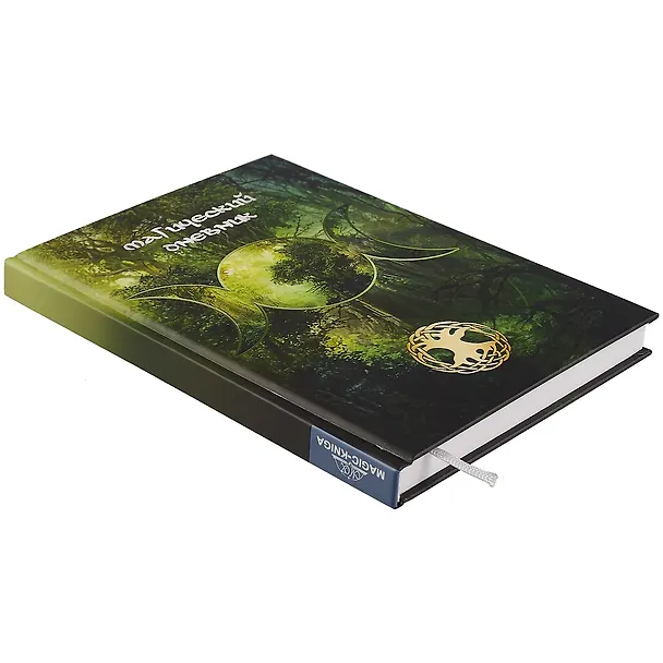 Книга Магический дневник. Викка. (А. Москвичев) — 2