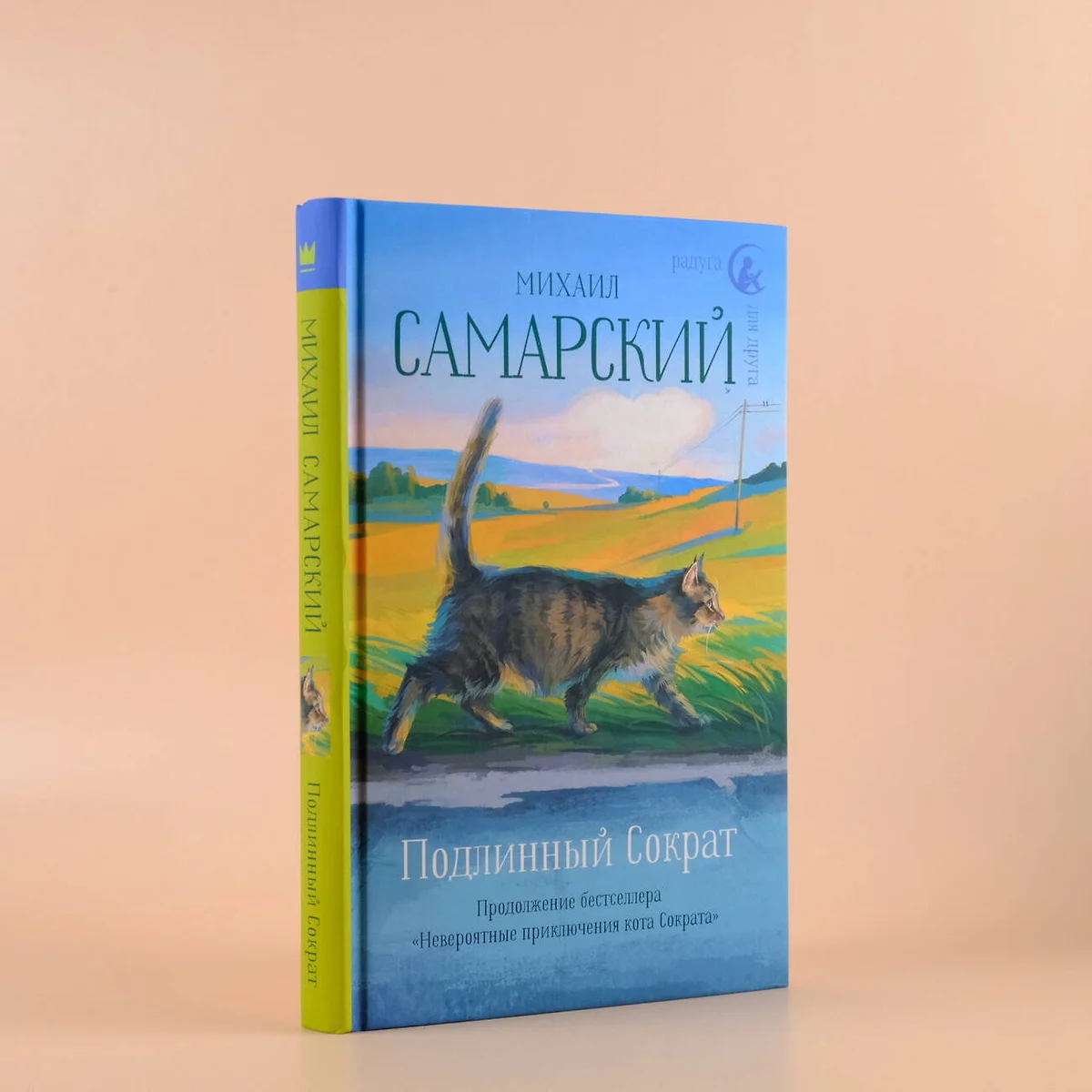 Подлинный Сократ (Михаил Самарский) - купить книгу с доставкой в  интернет-магазине «Читай-город». ISBN: 978-5-17-113239-2