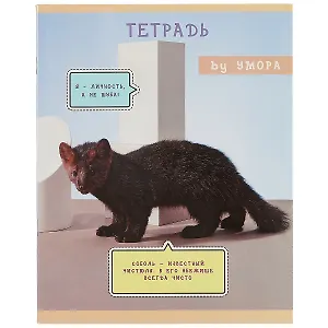 Тетрадь в клетку Listoff, "Редкий и пушистый", 48 листов, в ассортименте