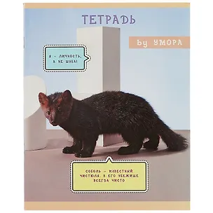 Тетрадь в клетку Listoff, "Редкий и пушистый", 48 листов, в ассортименте 259505