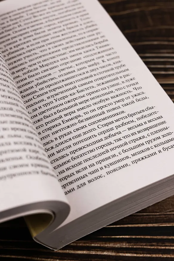 Книга Иосиф и его братья. Том 1 (Томас Манн) — 9