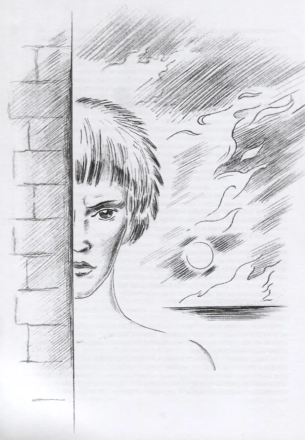 Книга Сителлус : роман () — 5