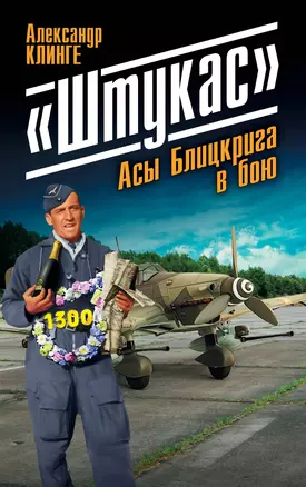 "Штукас". Асы Блицкрига в бою — 2389935 — 1