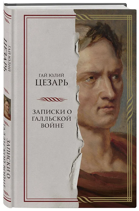 Книга Записки о Галльской войне (Гай Юлий Цезарь) — 4