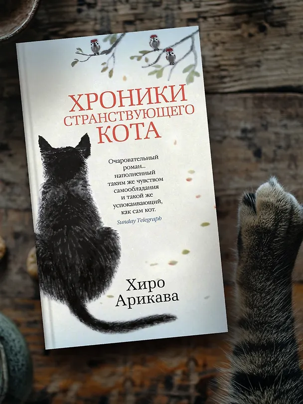Книга Хроники странствующего кота (Хиро Арикава) — 11