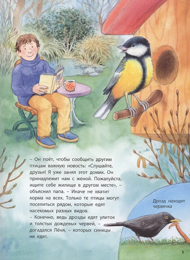 Книга Маленькая синичка и её друзья. Познавательные истории (Фридерун Райхенштеттер) — 5