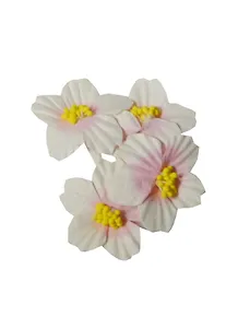 Цветы франжелани белый с розовым (SCB291703) (4шт) (упаковка)