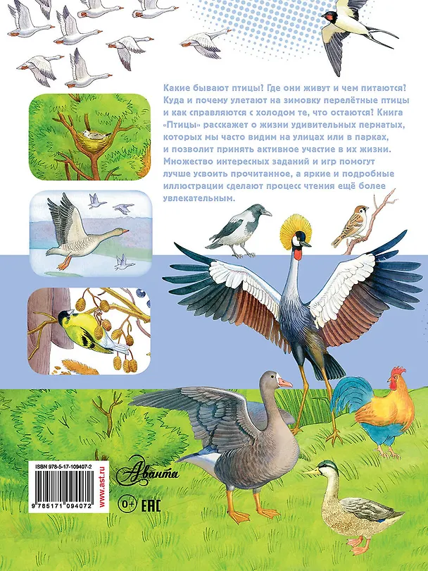 Книга Птицы (Алиса Ткачёва, Алиса Ткачева) — 2