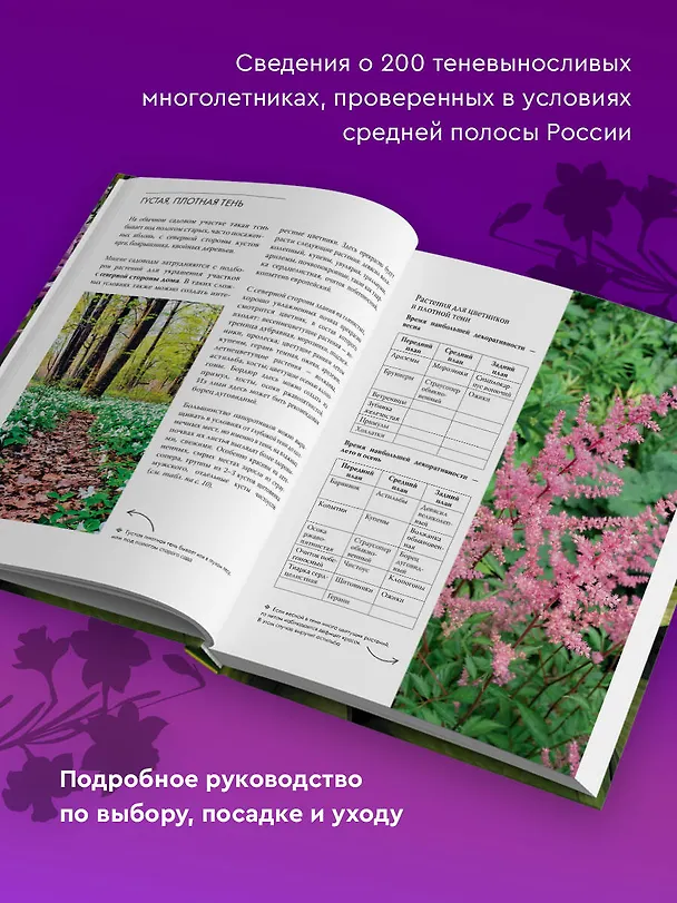 Книга Цветник в тени. Неприхотливые растения для вашего сада (Римма Карписонова) — 6