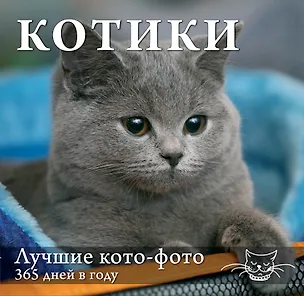 Книга Котики. Лучшие кото-фото. 365 дней в году ()