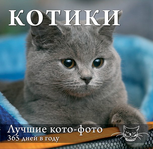 Книга Котики. Лучшие кото-фото. 365 дней в году () — 1