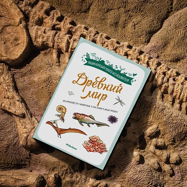 Книга Древний мир. Окаменелости. Животные и растения. Наши предки (Антуан Балзо) — 12
