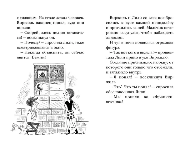Книга Лаборатория Франкенштейна (Наима Циммерманн) — 10