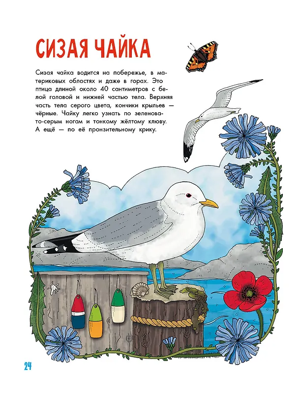 Книга Птицы (Эмма Янссон) — 11