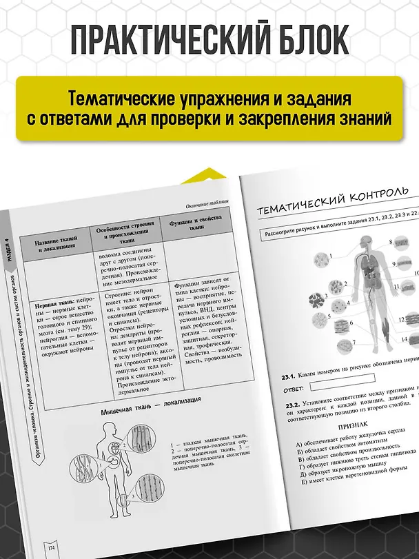 Книга Биология (Наталья Баштанник) — 7