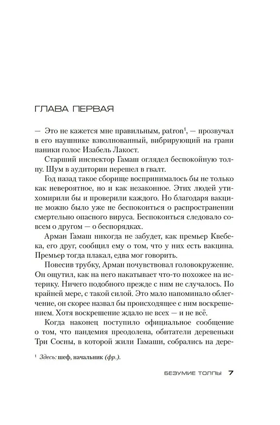 Книга Безумие толпы (Луиза Пенни) — 9