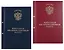 Обложка "Выпускная квалификационная работа" ассорти, 2 отверстия, бумвин — 3101355 — 1