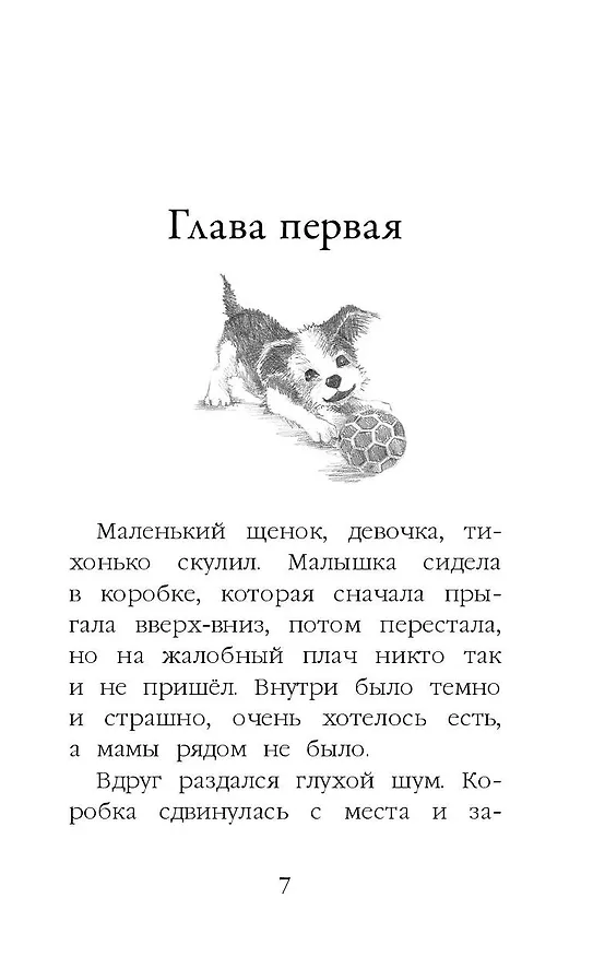 Книга Щенок Крошка, или Друзья навек : повесть (Холли Вебб) — 12