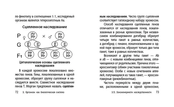 Книга Биология. 5-11 классы. Карманный справочник для подготовки к ЕГЭ, ОГЭ и ВПР (Татьяна Никитинская) — 11