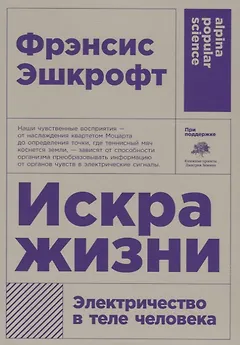 Искра жизни. Электричество в теле человека