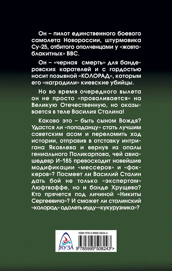 Книга Позывной: «Колорад». Наш человек Василий Сталин (Валерий Большаков) — 2