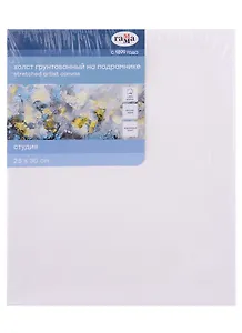 Холст на подрамнике  25*30см "Студия", 100% хлопок, мелкое зерно, Гамма