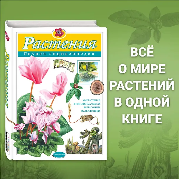 Книга Растения. Полная энциклопедия: Мир растений в интересных фактах и красочных иллюстрациях (Юлия Школьник) — 6