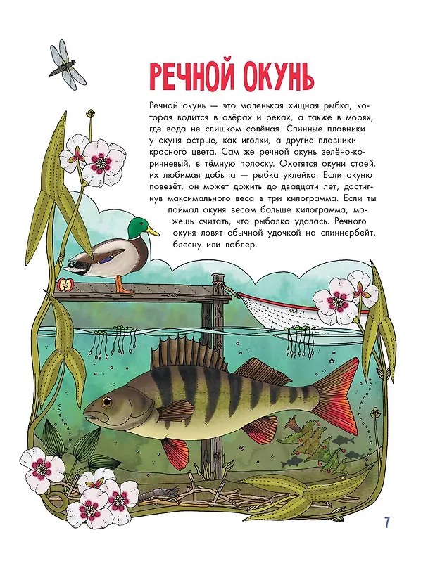 Книга Рыбы (Эмма Янссон) — 12