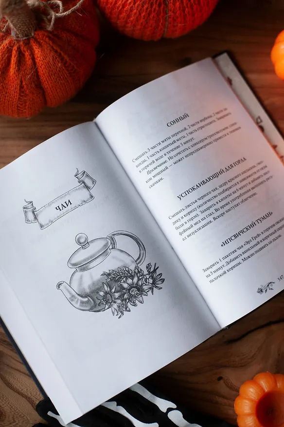 Книга Самайн у ведьмы пограничья (Уоллис Кинни) — 15