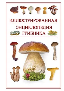 Иллюстрированная энциклопедия грибника.