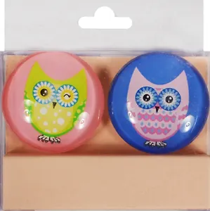 Набор магнитов Совы (2шт) (ПВХ бокс) (подвес)