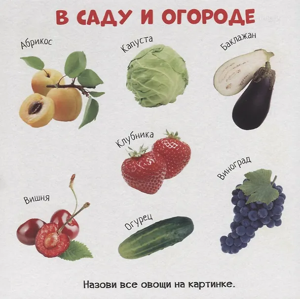 Книга Знакомство с окружающим миром () — 2