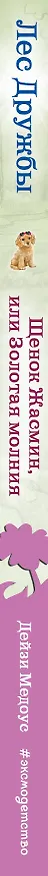Книга Щенок Жасмин, или Золотая молния (выпуск 36) (Дейзи Медоус) — 3