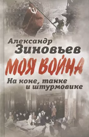 На коне, танке и штурмовике. Записки воина-философа — 2553576 — 1