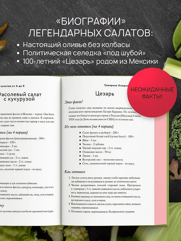 Книга Энциклопедия салатов от А до Я (закрашенный обрез) () — 7