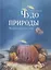 Чудо природы. История морской губки — 2834727 — 1