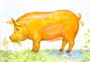 Как у нашей хрюшки розовые ушки 2089554