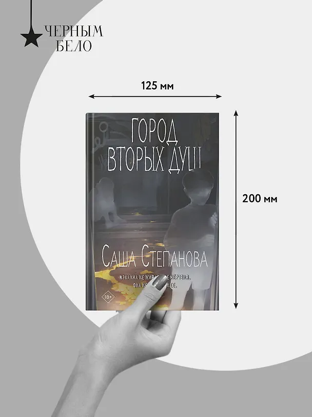 Книга Город вторых душ (Саша Степанова) — 10