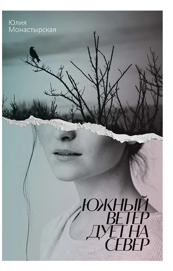 Книга Южный ветер дует на север (Юлия Монастырская) — 1
