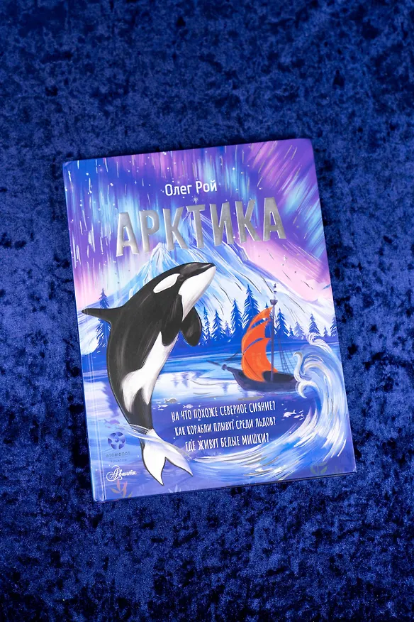 Книга Арктика (Олег Рой) — 11