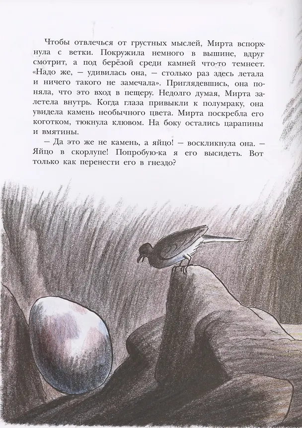 Книга Необычное яйцо (Билл Пит) — 3