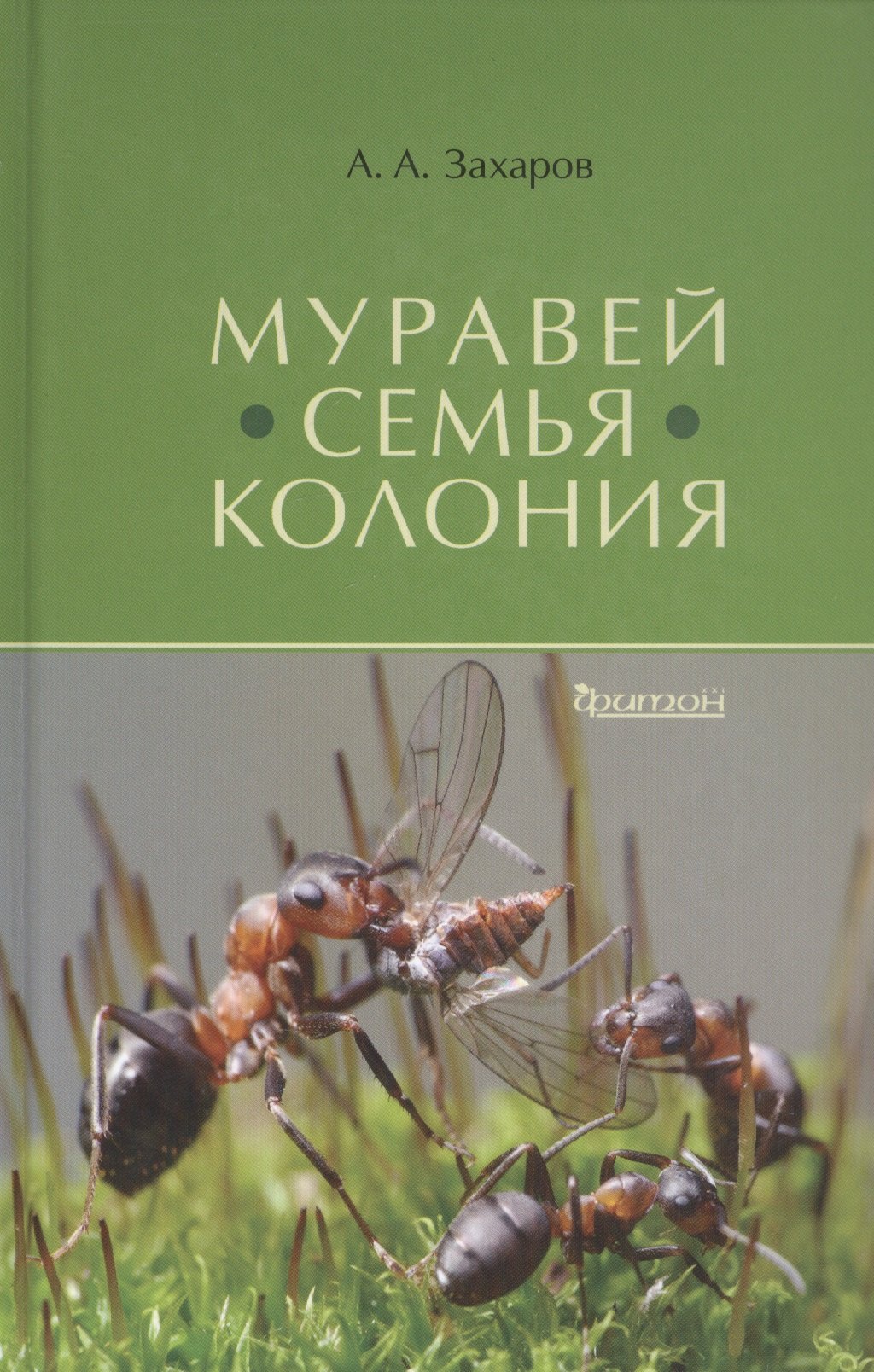 

Муравей. Семья Колония