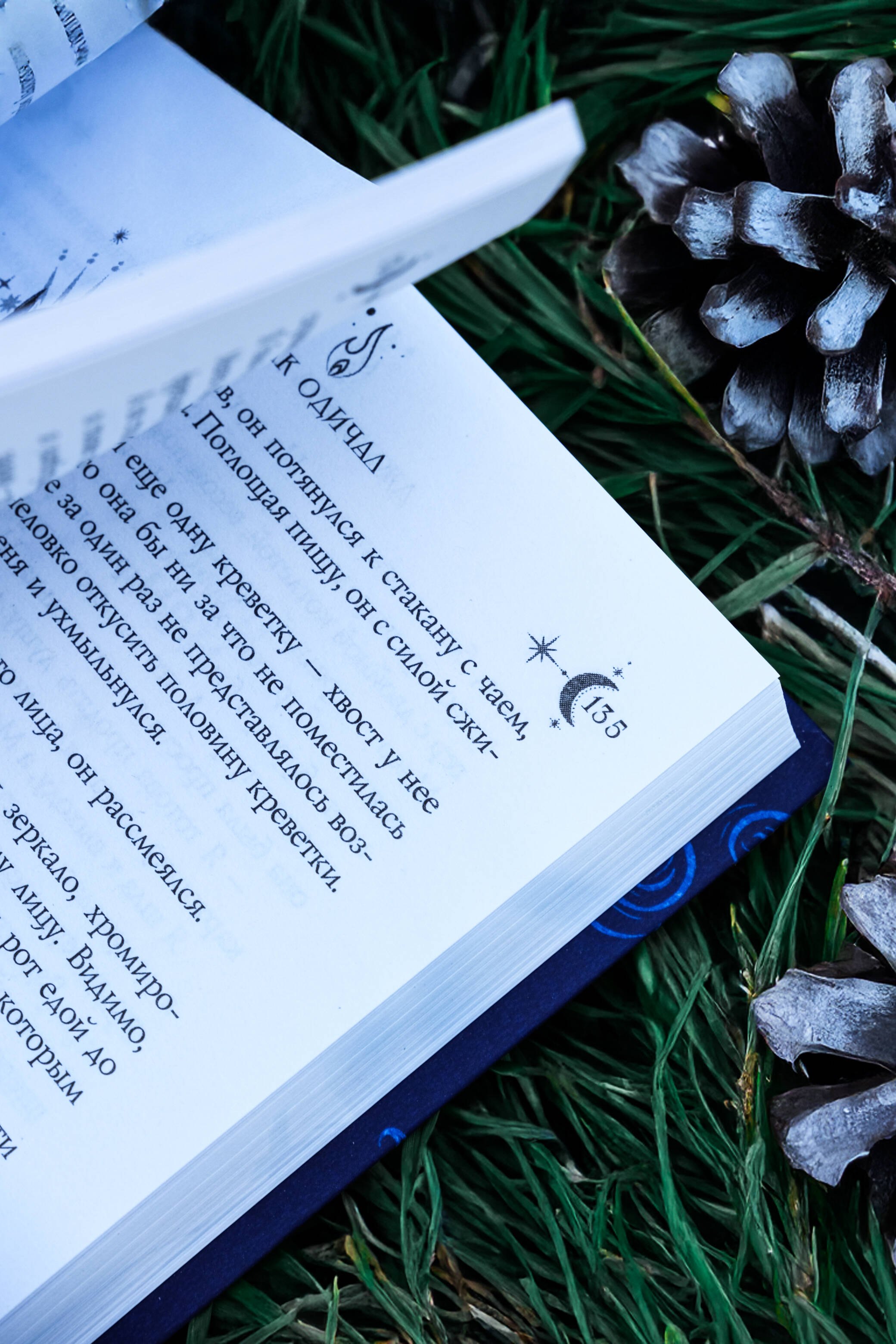 Изображение бумажной книги