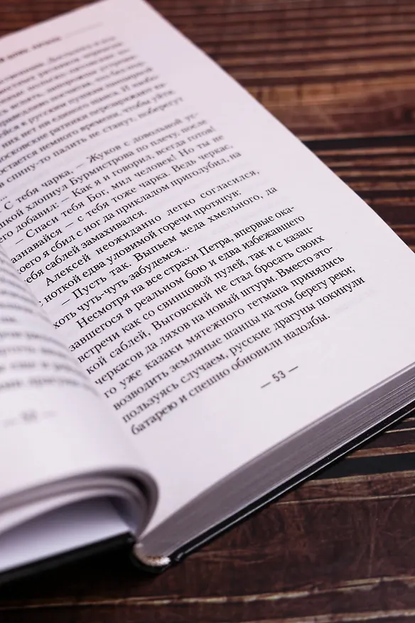 Книга Ромодановский шлях. Начало (Даниил Калинин, Сергей Воронин) — 9
