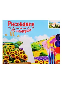 Набор для раскрашивания по номерам ТМ Рыжий Кот Холст Прекрасный вид с горы 30х40см Х-9123