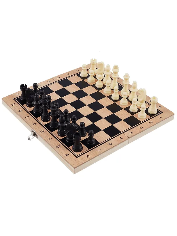 Шахматы с пластиковыми фигурами, 24 х 24 см 2644658 — 9