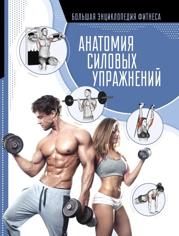 

Анатомия силовых упражнений