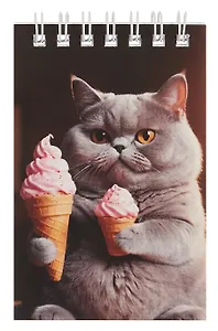 Блокнот А7 60л "Котик" спираль