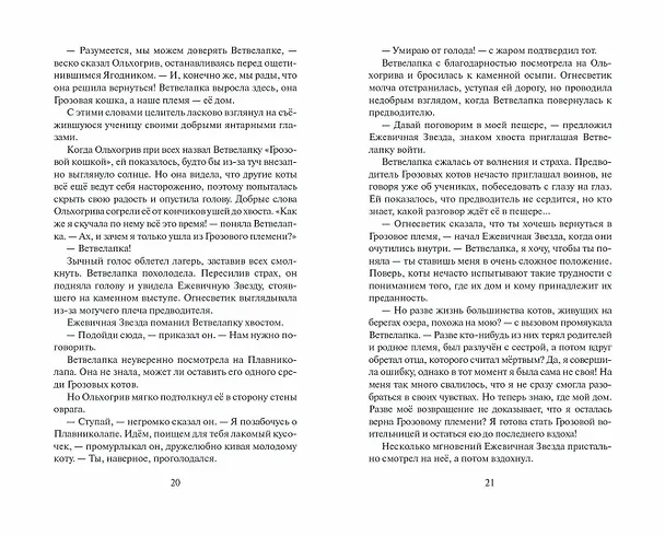 Книга Огненная река (Эрин Хантер) — 10